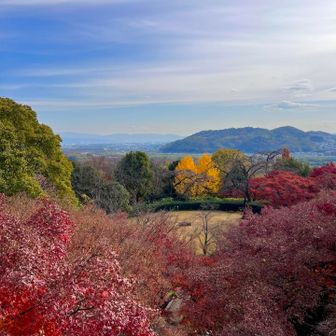 2階の喫茶室テラスからの眺め
順番待ちでお茶とケーキは諦める☕️🧁