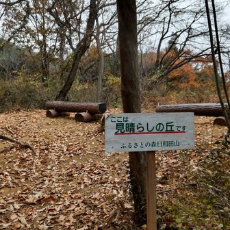 見晴らしの丘に到着