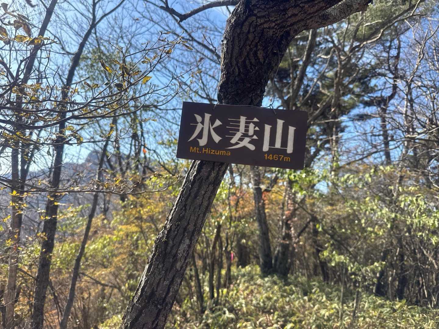 浅間隠山登山口-浅間隠山-二度上峠-氷妻山-鼻曲山 縦走コースの写真