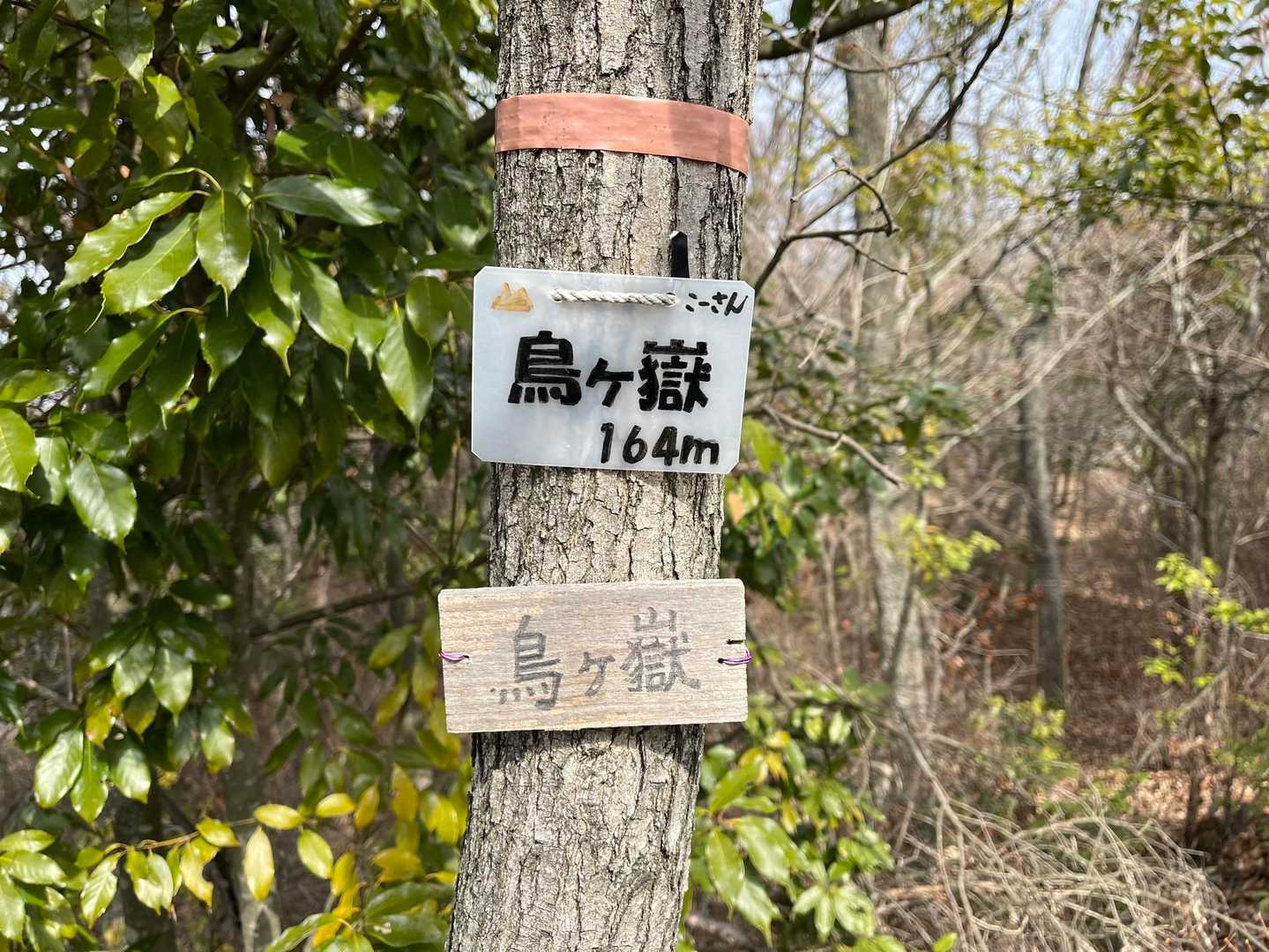 鳥ヶ嶽 164m