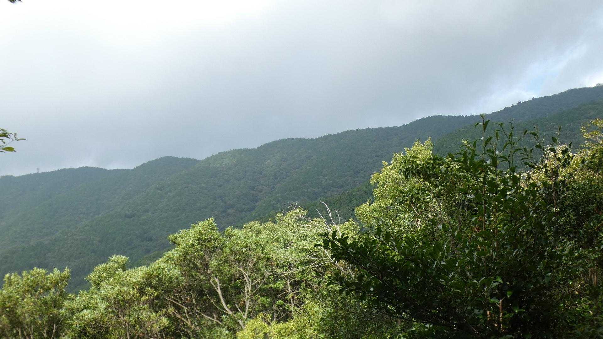 五合目の捲き道から
白木山から中尾山へ続く稜線