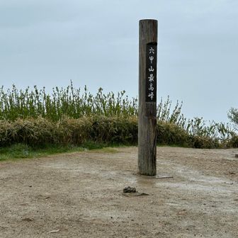 こんなお天気だから、だ〜れも　いない。