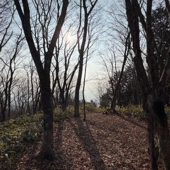 霞んでて下界は見えない🫥