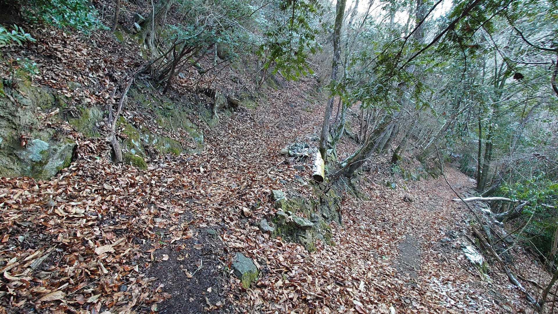 九十九折に斜面を登る。枯れ葉🍂で浮石が分かりづらい