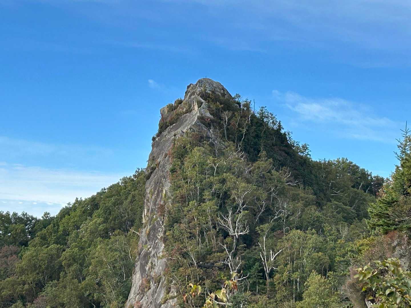 山頂が見えました
険しい