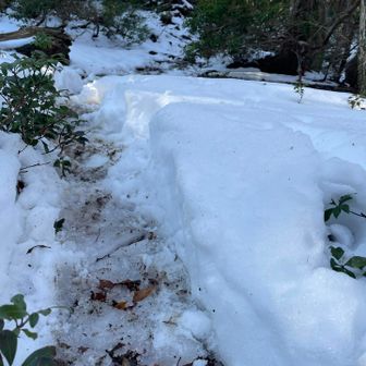 雪❄️が溶けて滑る
チェンスパ着けるか　悩む