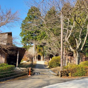 火曜日の山行きはお正月疲れが残って元気が出ず私はパスし😂

金曜日も予定ありで…😵
やっと今日森林公園にきました。
今日はソロで…
何年かぶりにバンガローの道を抜けて、ゴンジャ岩経由で登ってみます🚶‍♀️
