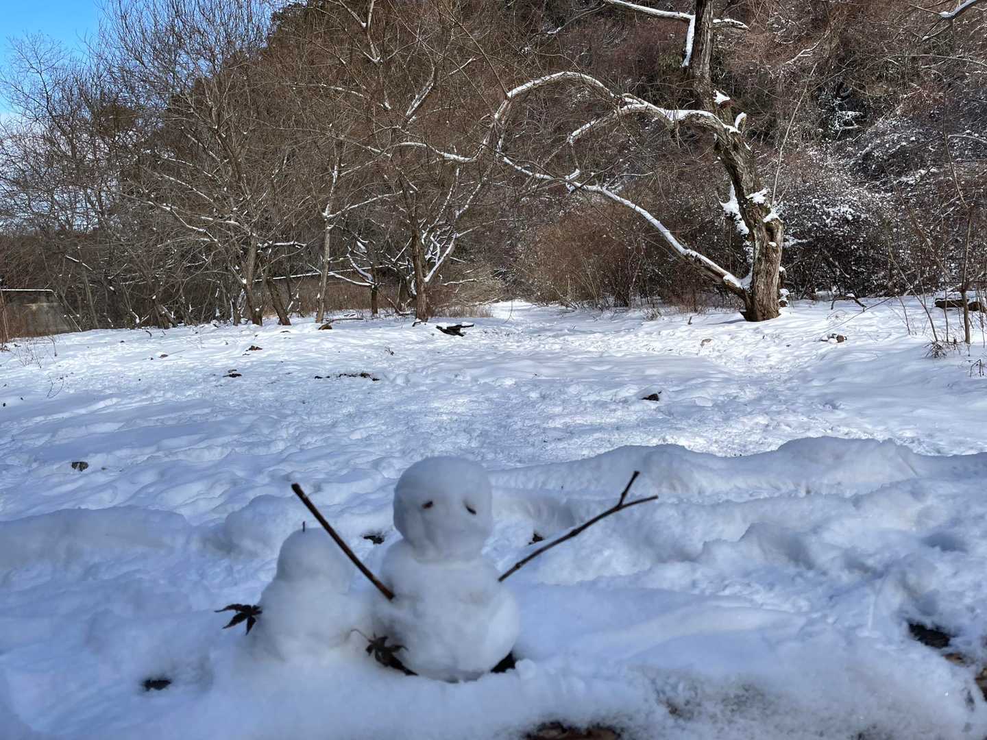 雪だるま⛄️ちゃん行って来ます

和 小雪人打個招呼