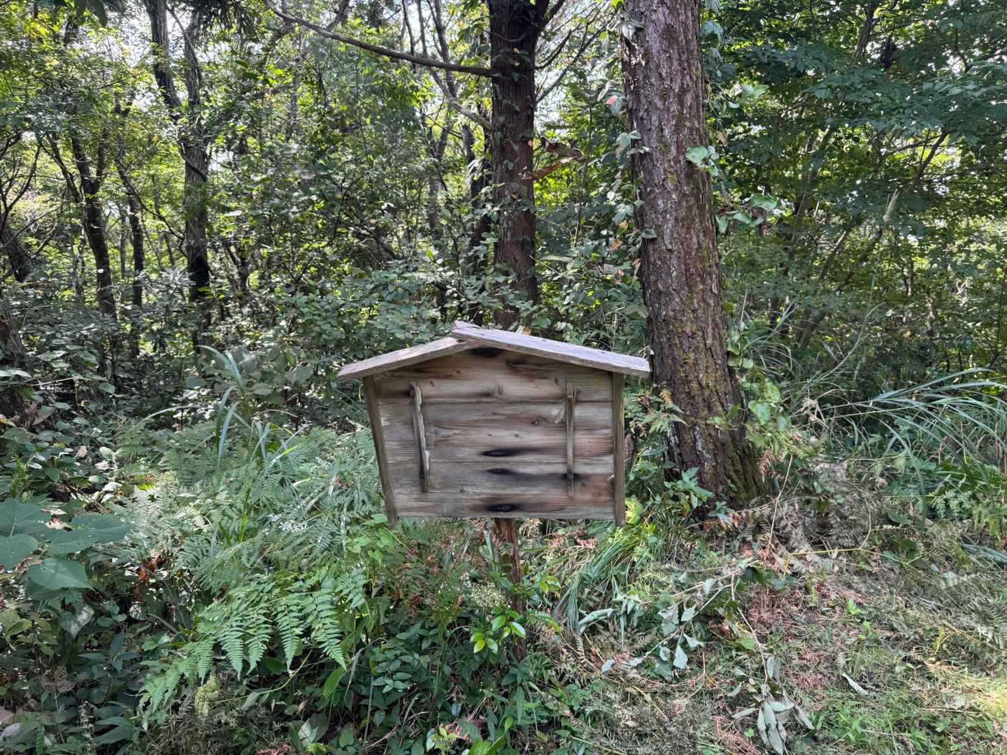 二ノ丸
何か書かれていたと思われる表示板。