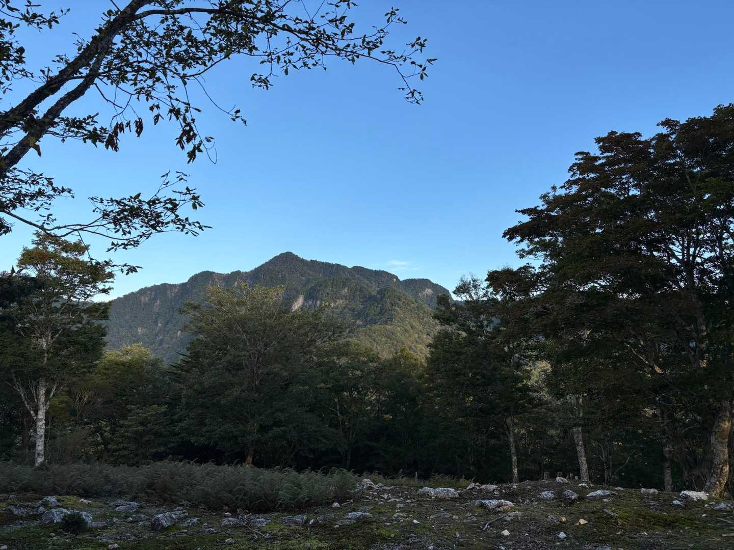 北側へ目を向けると、大普賢岳の大きな山容。