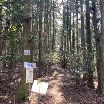 登山口。下山しました
