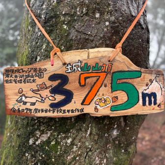 城山山頂🏔️あまく見てました💦
マジ疲れた😓

でも標識がかわいく癒されました🩷

城山はカタクリの群生地で有名ですがそっちまで行く元気なかったので写真ありません🙅🏻‍♂️