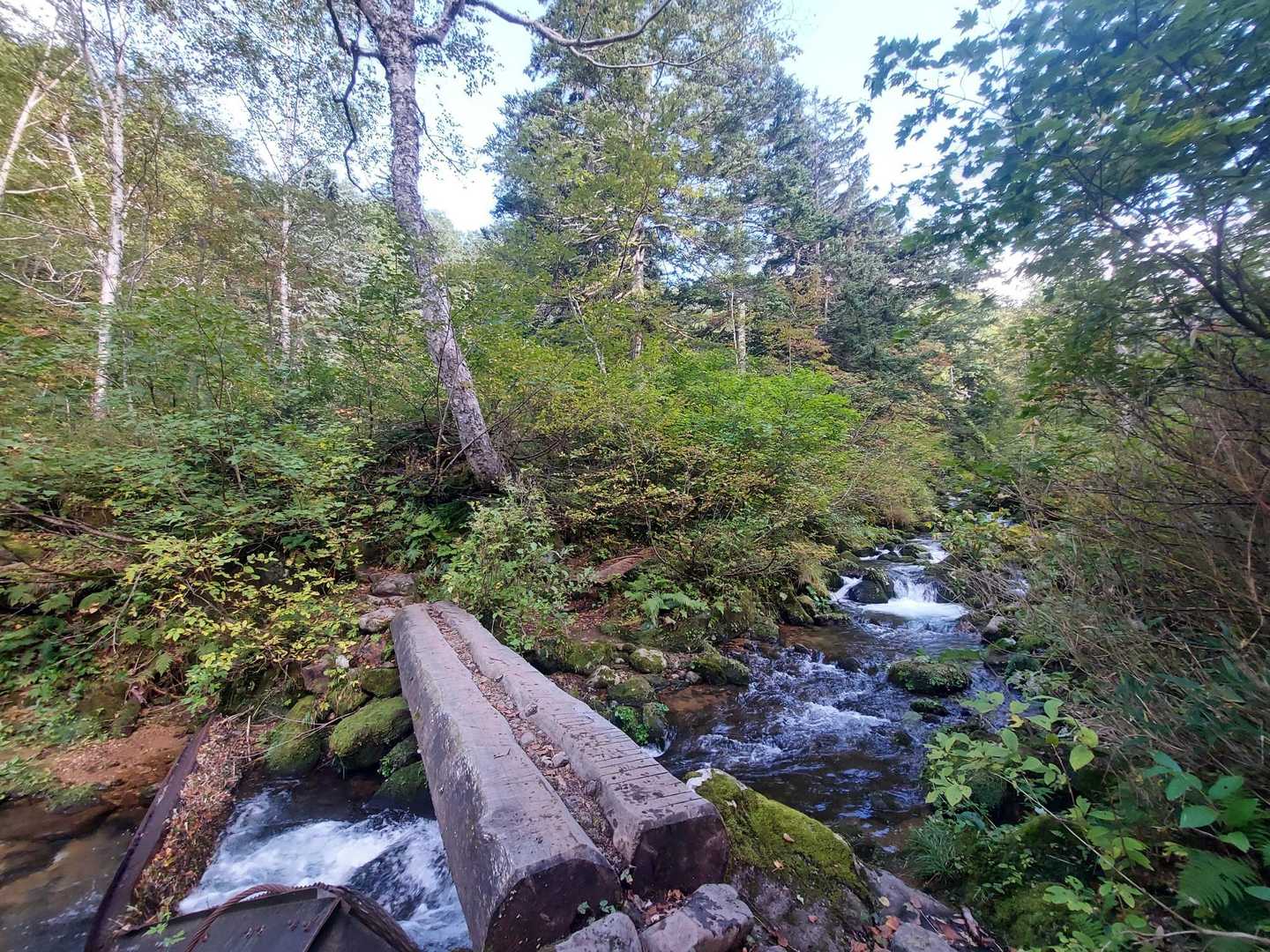 秋晴れのお天気に恵まれました。
お疲れ山でした👍️