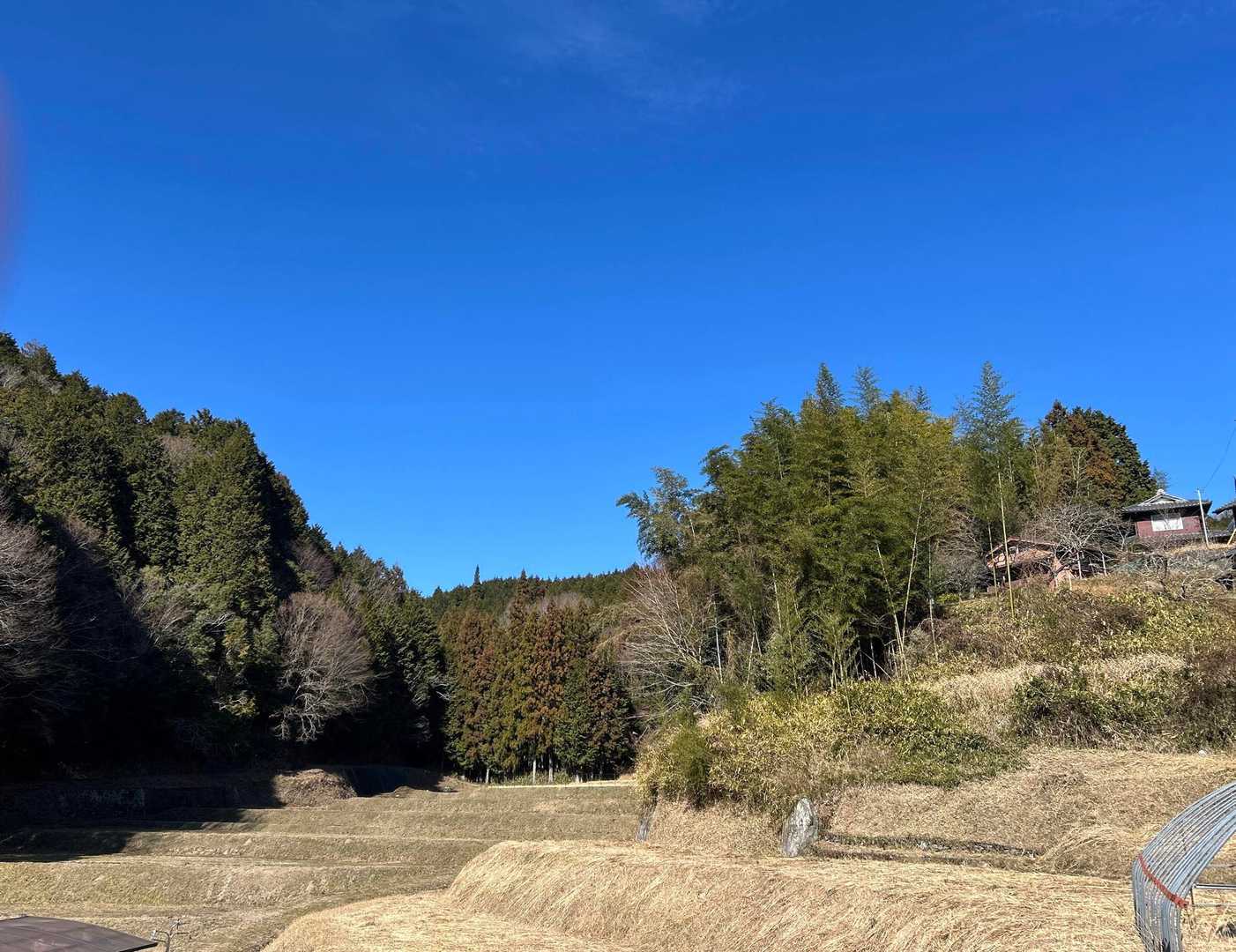 里山の風景からスタート▶️
いい天気☀️