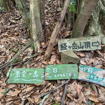 あらー
綺麗に三分割に割れたのね。
それでも並んで置いてもらえてよかった。