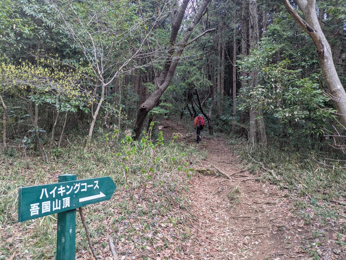 駐車場🅿️から舗装路を少し歩き吾国山登山口です
雷⚡️怖いので急ぎましょう💨