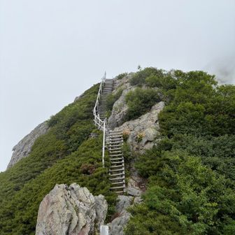 天に登る