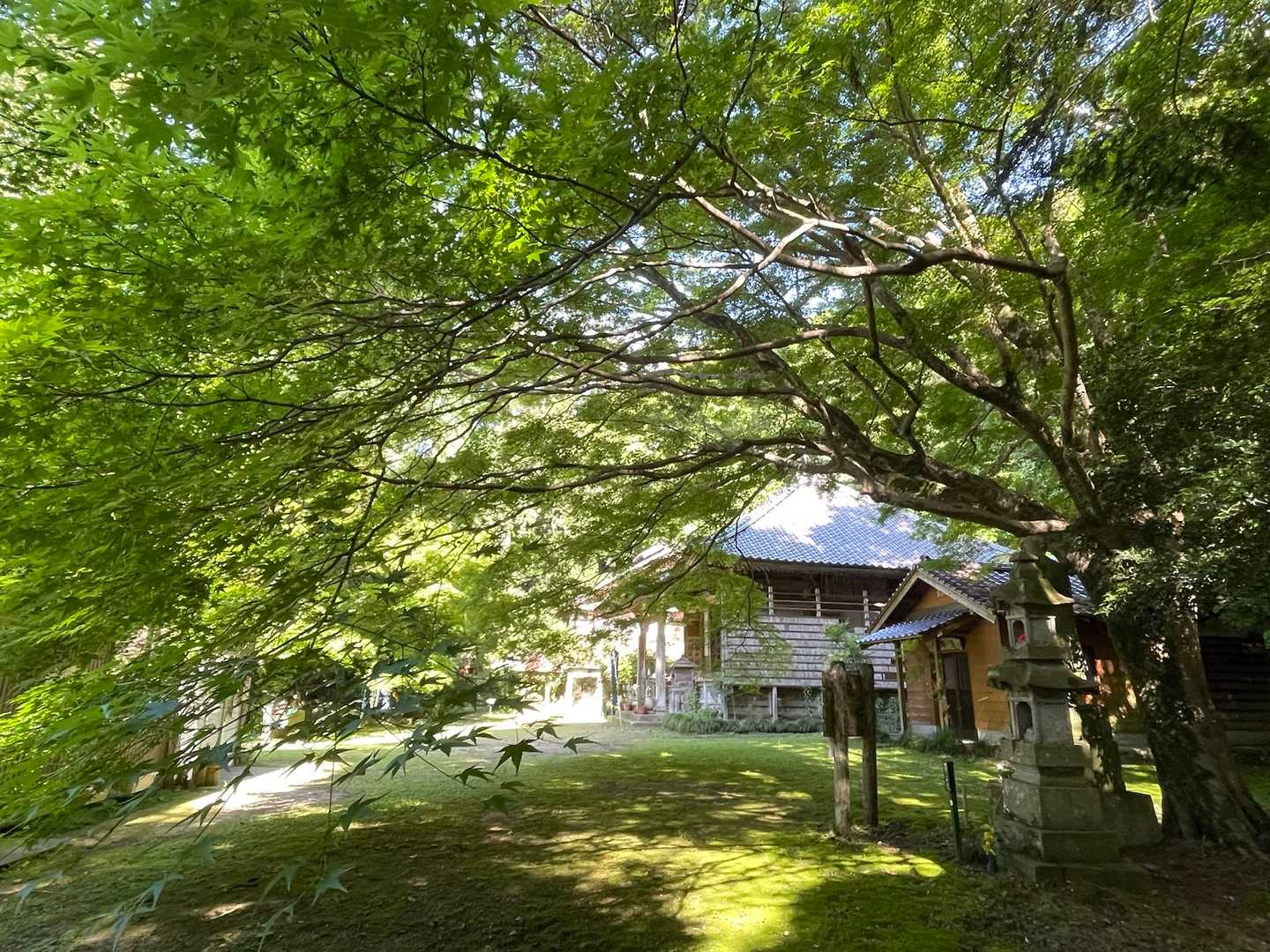紅葉のころもいいでしょね。
