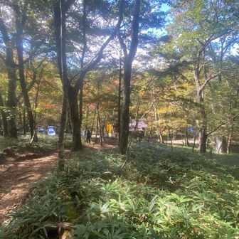 無事、上日川峠に到着