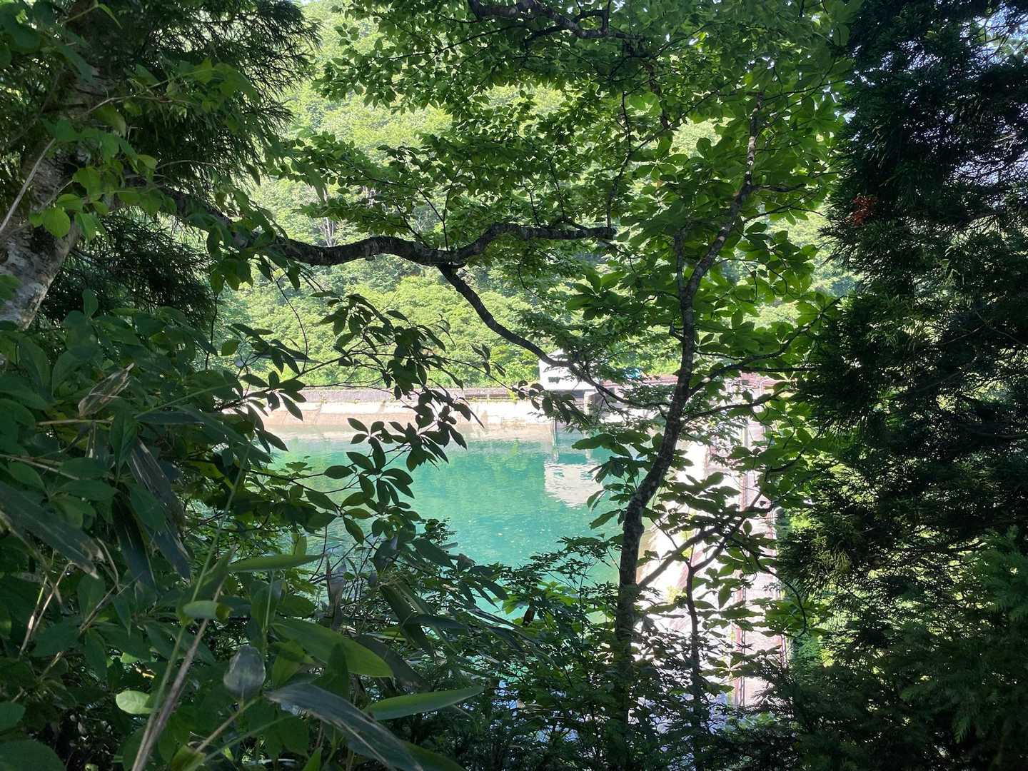 コバルトブルー🩵