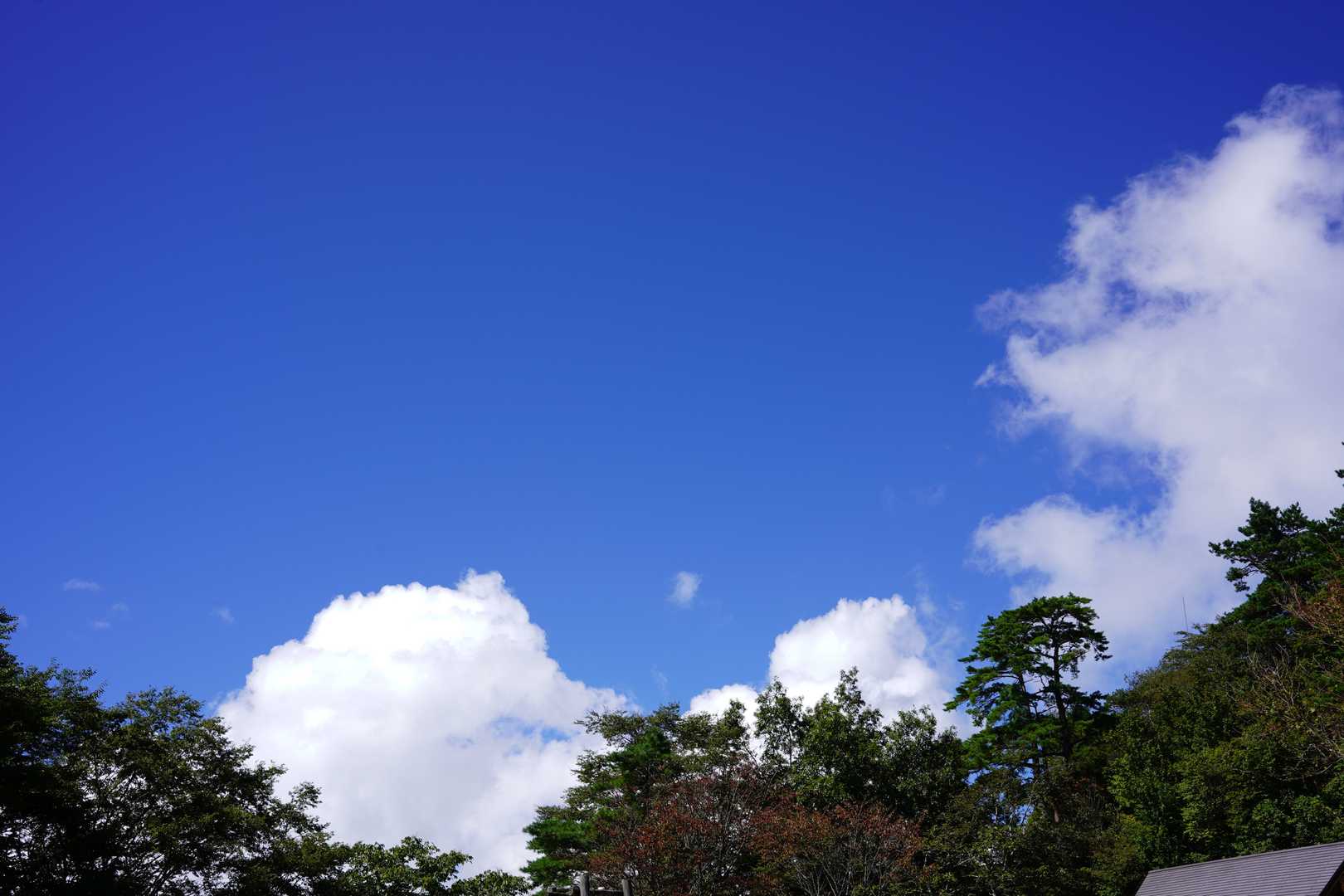 秋晴れの空を見上げて
