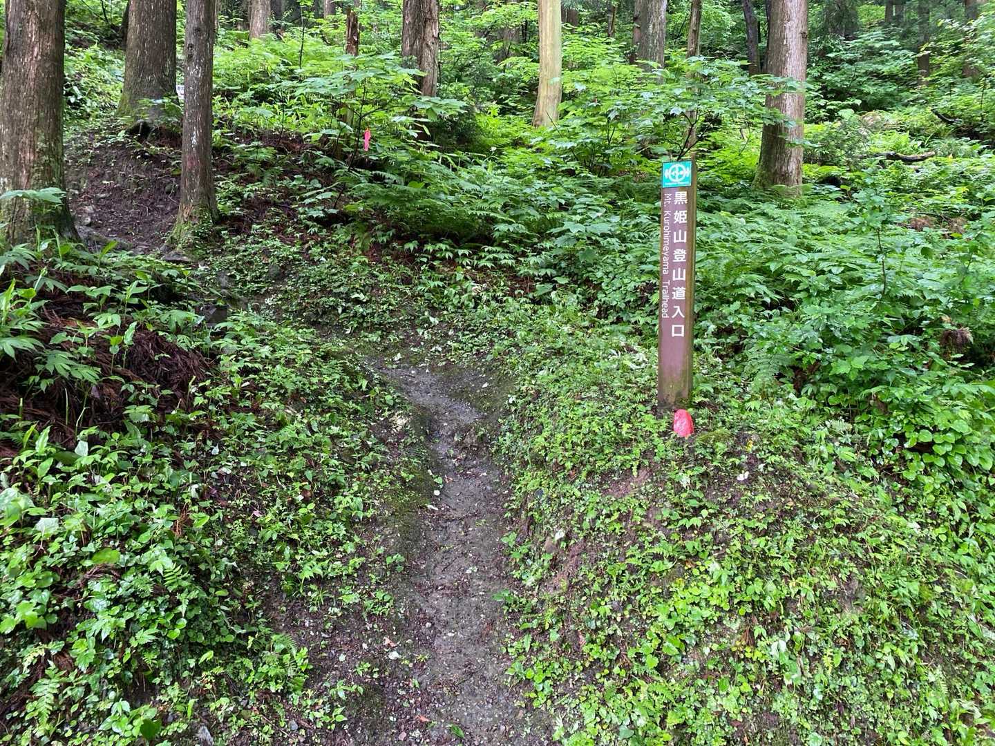 行ってきます