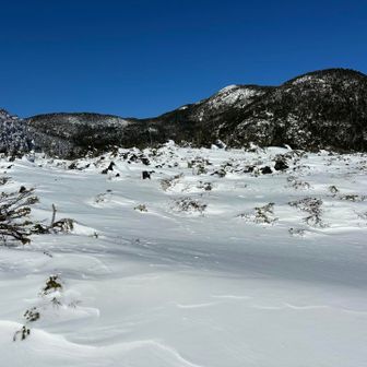 坪庭は時計回りに周回。真っ白な雪原に八ヶ岳ブルー。所々にウサギ等の足跡も見られた