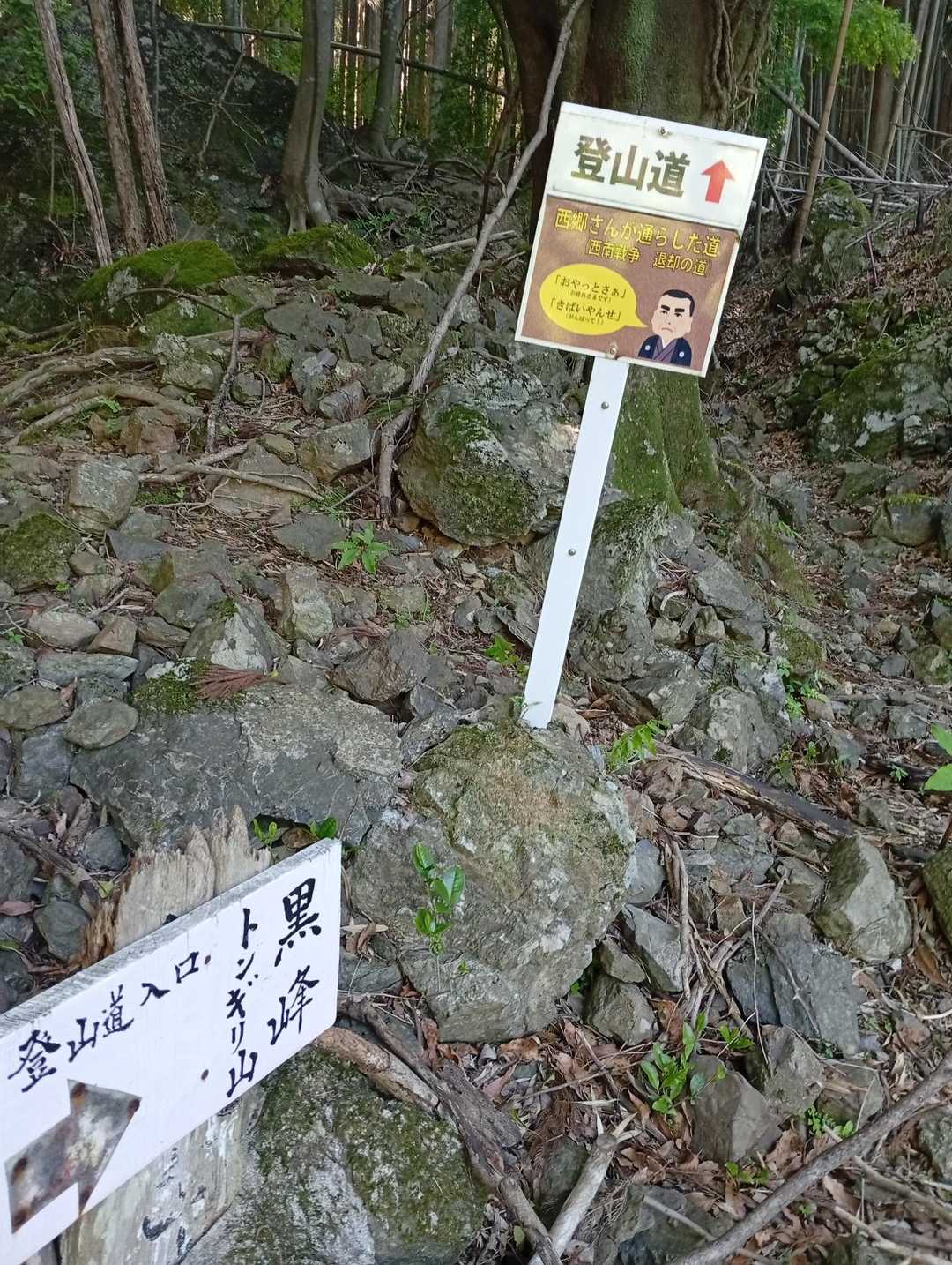 こちらから入場。
西郷どんも通られた道だそうです。