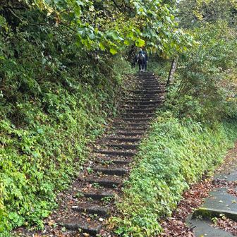 登山口