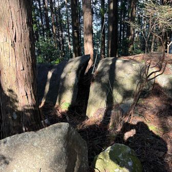 どうやって割れたんやろ