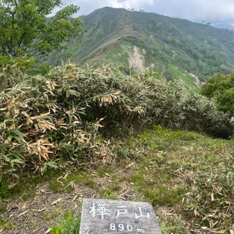 樺戸山😊

続いてお向かいのラスボスへ


道中👣羽虫が超越絶賛飛交中ﾖ🪰



