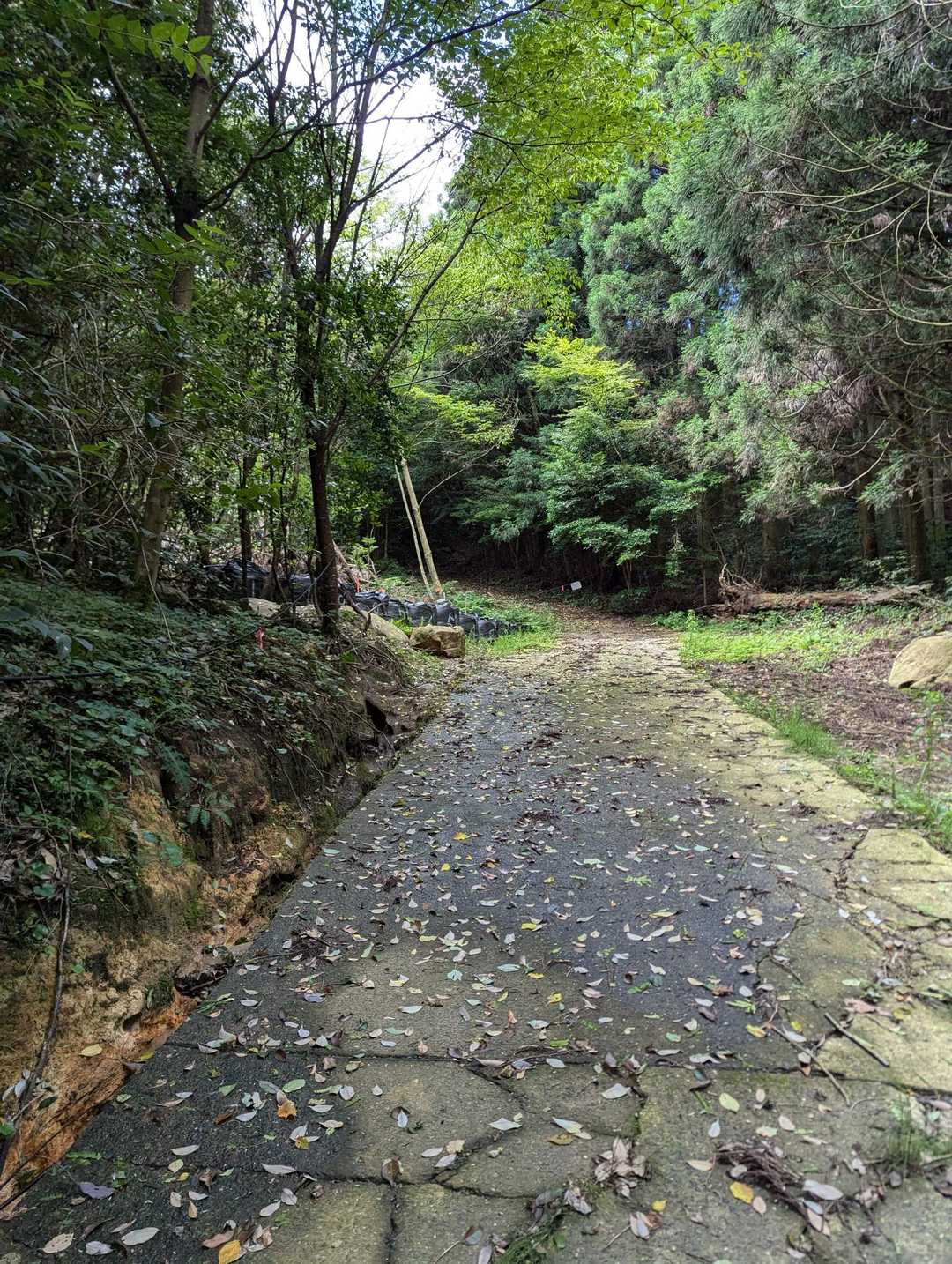 さあ久しぶりの山登りでこころウキウキですよ😆👍👍