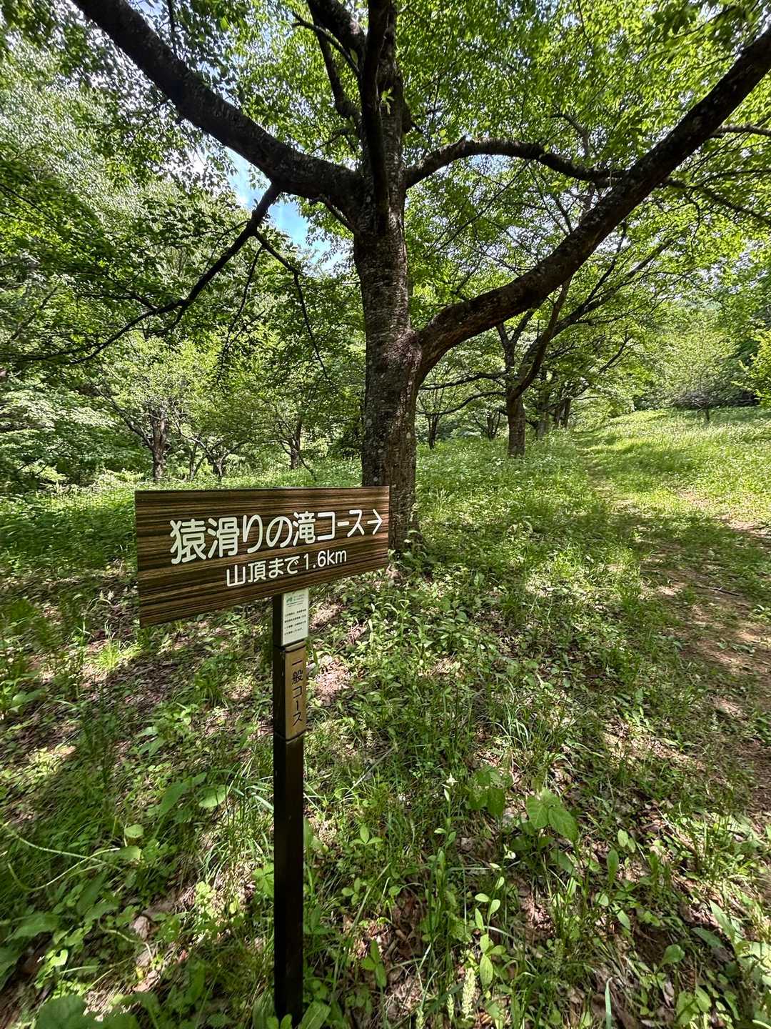 音が遠ざかってく