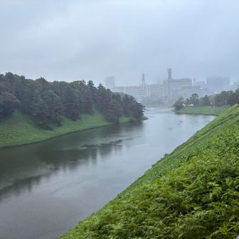雨が強かったです☔