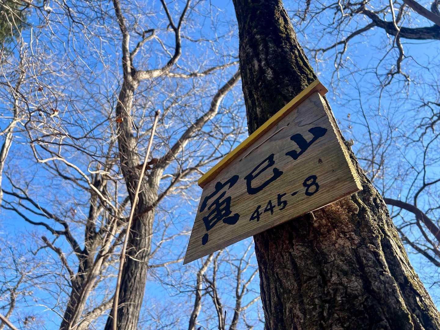 落ち葉の急登の先に
寅巳山 445.8m🐍🐍🐍

トラロープ助かります🐯
