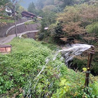 駐車場のとなり
冷たい沢水が噴出
(帰りに頭から浴びる)