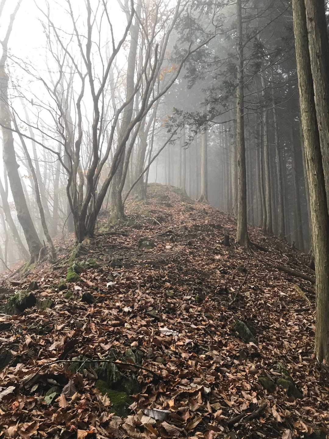 西御荷鉾山南登山口-御荷鉾山-投石峠-東御荷鉾山 周回コースの写真
