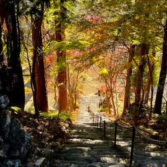 石段は急で狭かったのですが、その分ゆっくり歩くことができ、仏様と「氣」を合わせやすかったです✨
