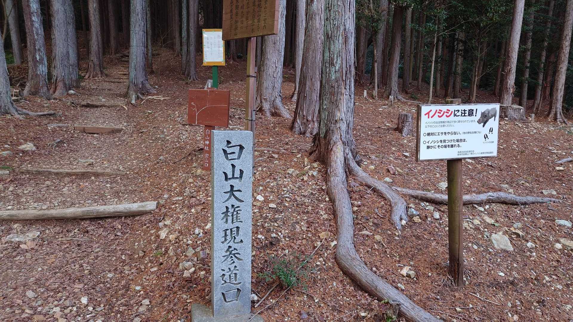 登らせて頂きます🥹