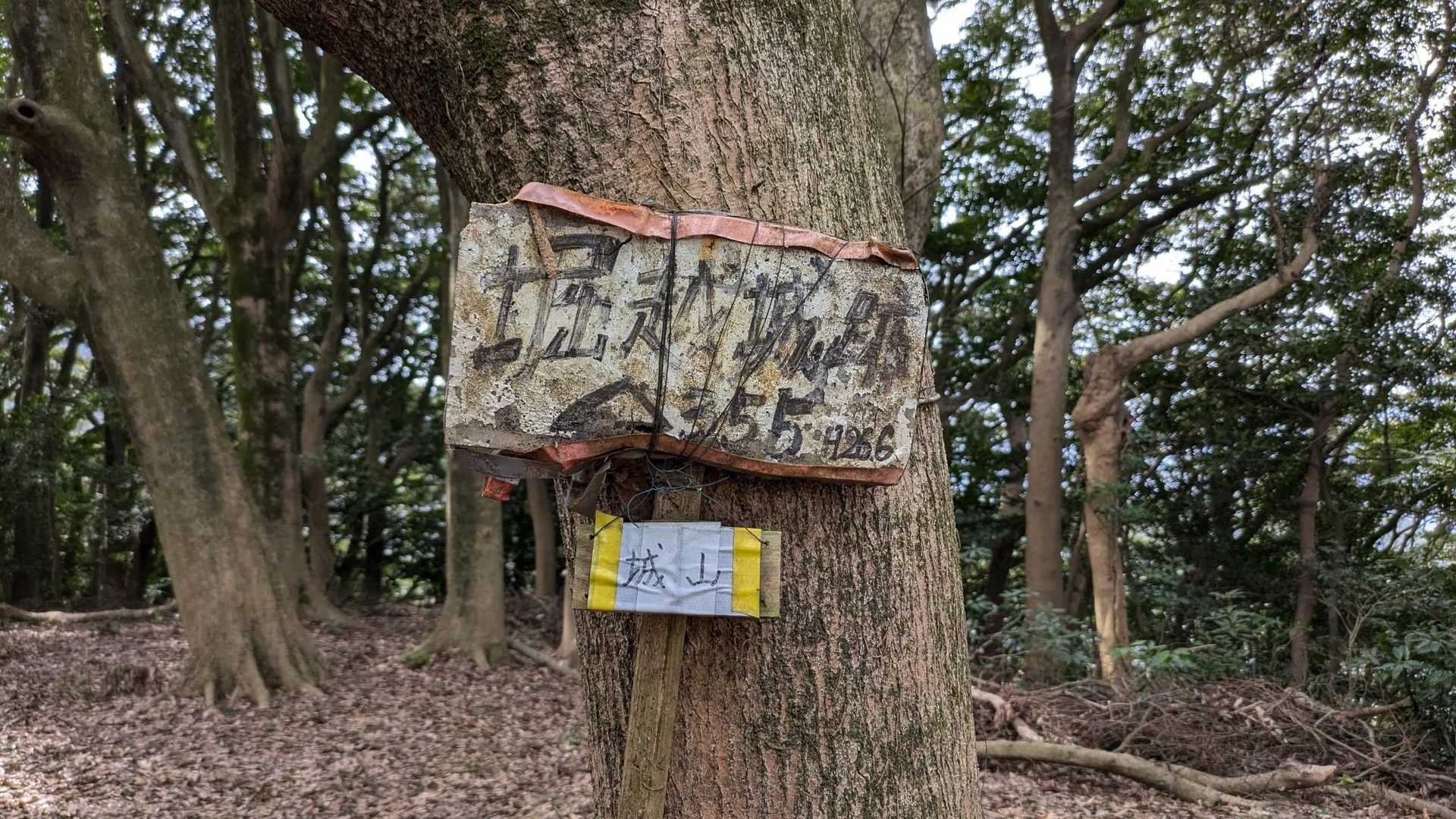 城山 周回コースの写真