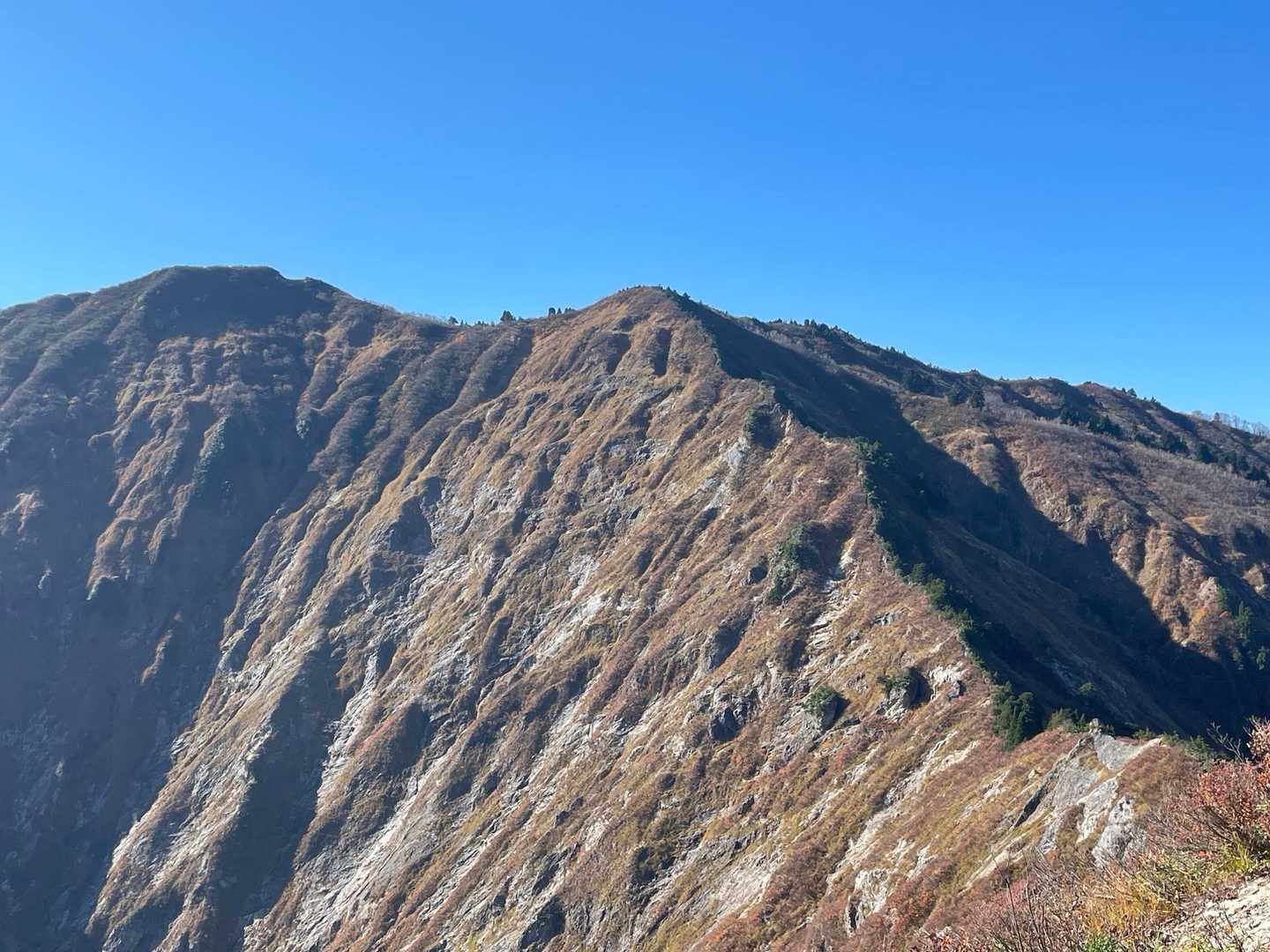 御神楽岳（蝉ヶ平林道終点）の写真