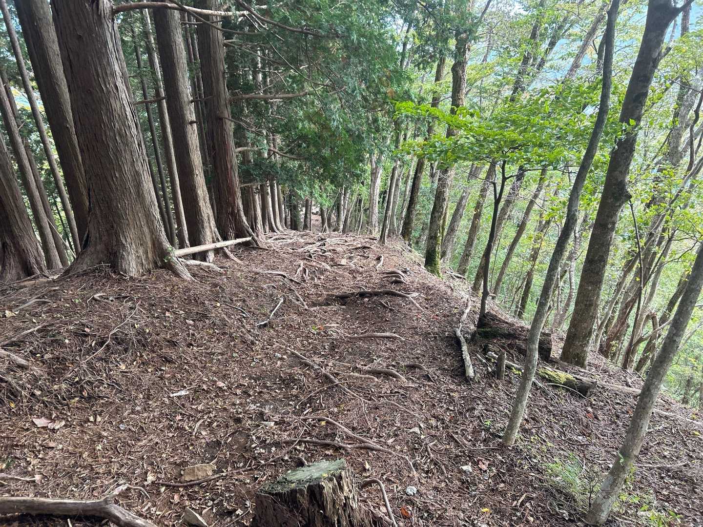 小丸経由は初めて。階段等は無く、奥多摩あたりの山道の雰囲気。このルートはほぼ誰にも会いません。