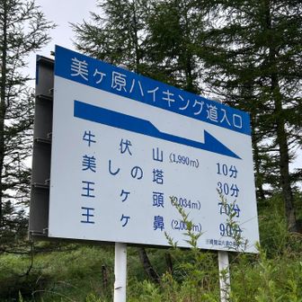 では、山登りへ
ここは、山登り感0🤣でした