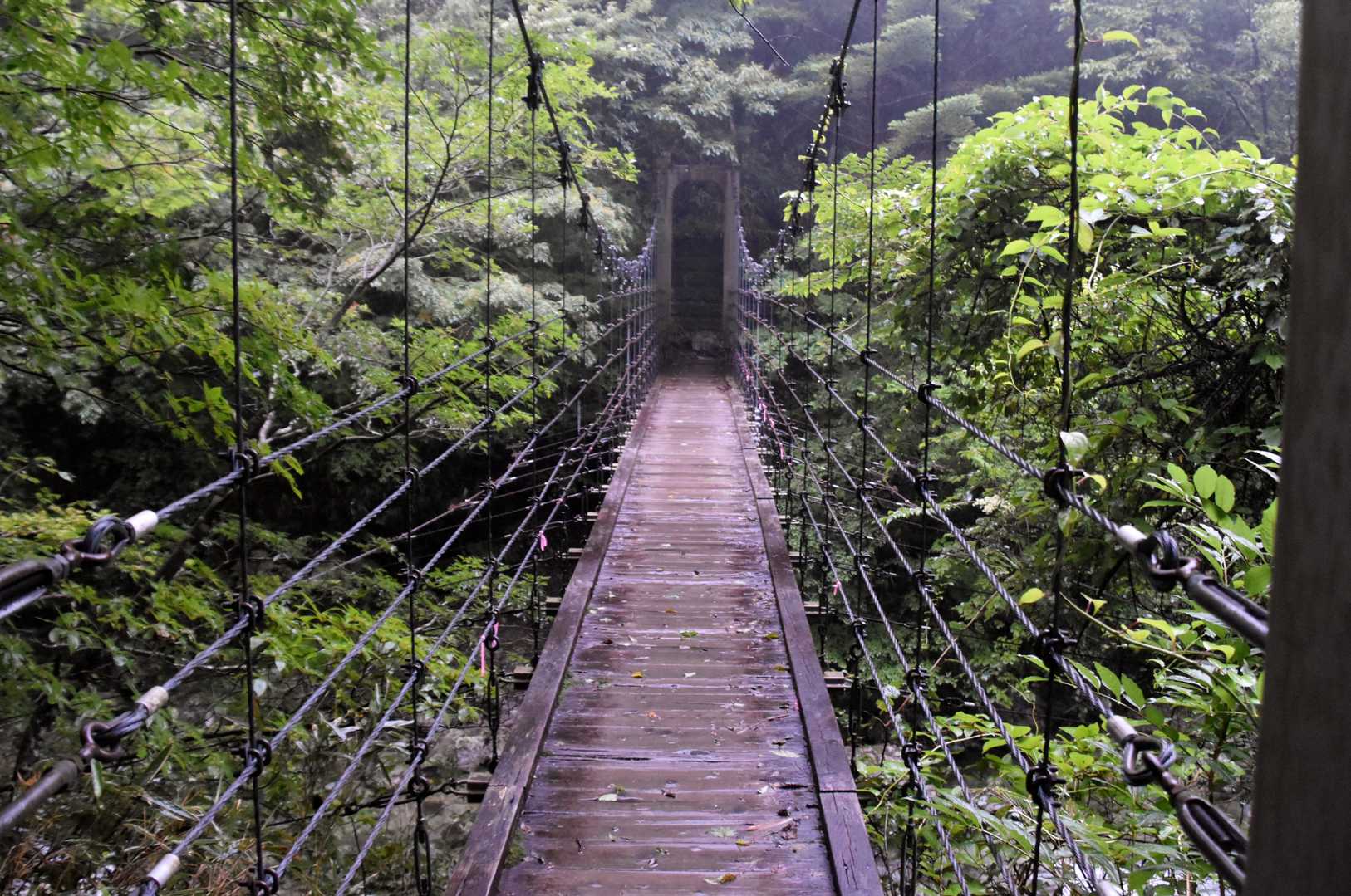 吊り橋
思ったより水量は多くない