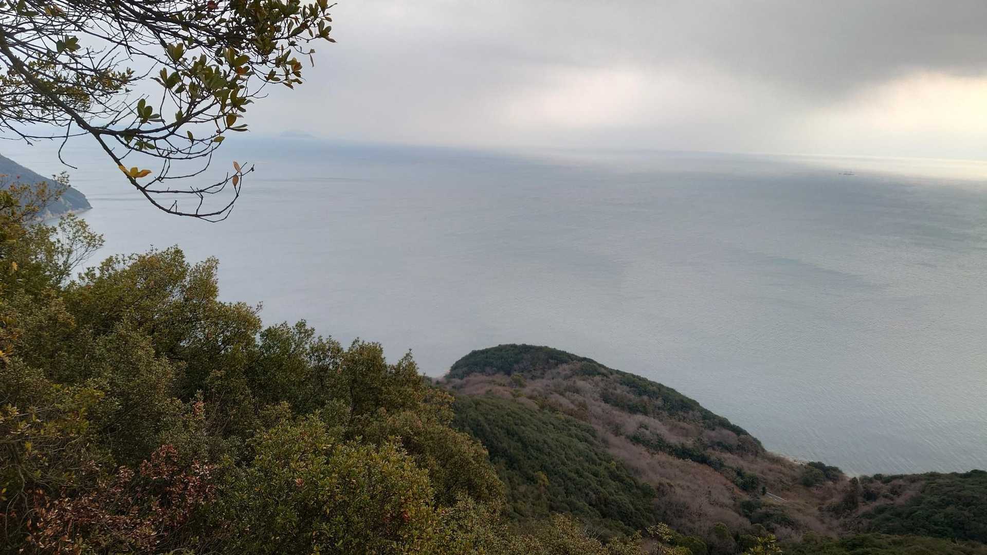 内海農協前バス停-鳶ガ巣山-切石山登山口 周回コースの写真
