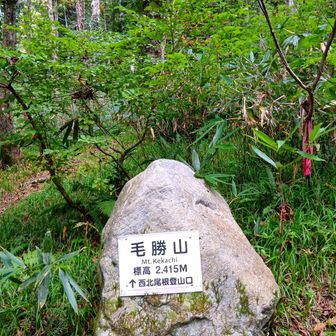 途中から膝がいって下山が恐怖でした
