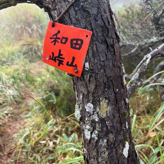 まずは、和田峠山南峰