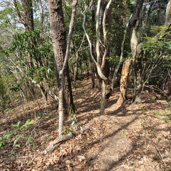 整備されてます、でも激下り