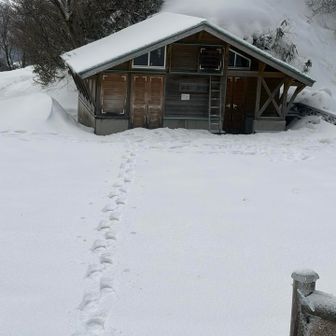 そのまま前山へ突撃🦬します