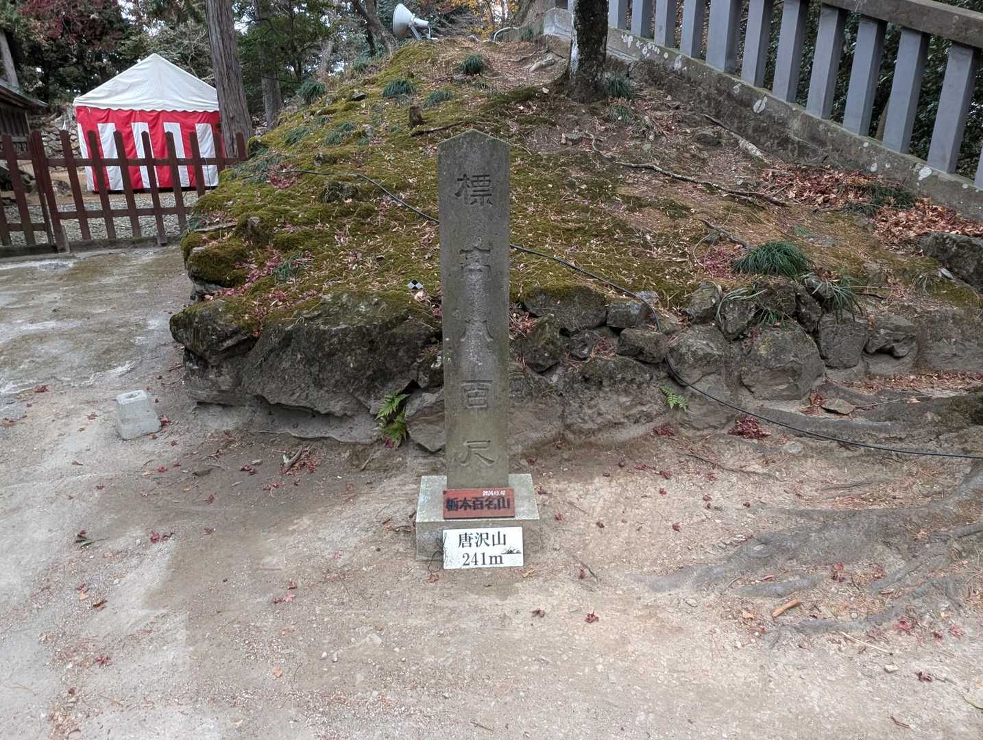 唐沢山山頂